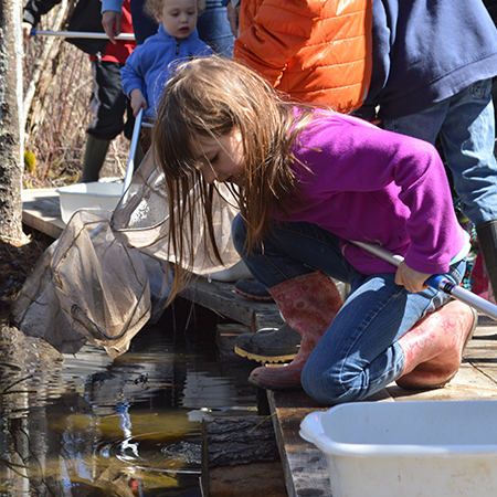 vernal ponds