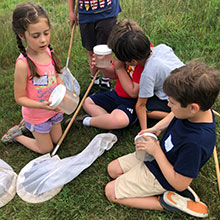 kids and bugs summer day camp