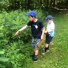 Summer Day Camp, wonderful world of plants