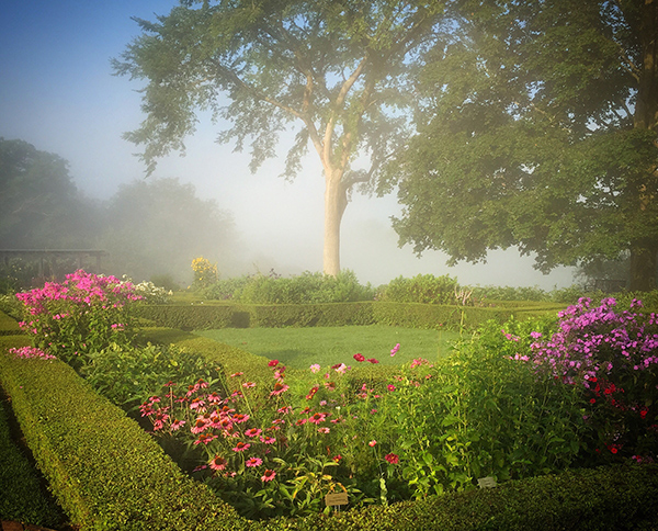 Gardens