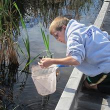 Pond Program, Hildene 2020: new offerings for Fall!