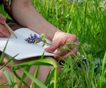 Nature Journaling